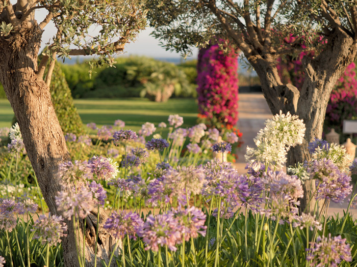 St. Regis Mardavall Mallorca Resort